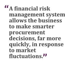 "A financial risk management system allows the business to make smarter decisions, far more quickly, in response to market fluctuations."