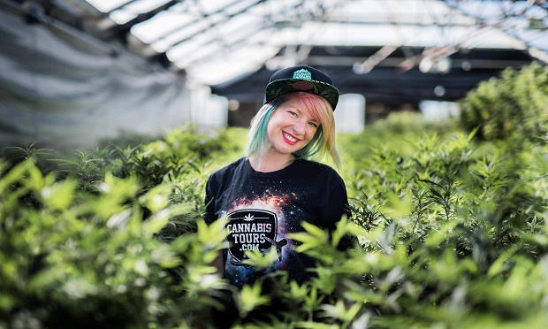 Colorado Cannabis Tours