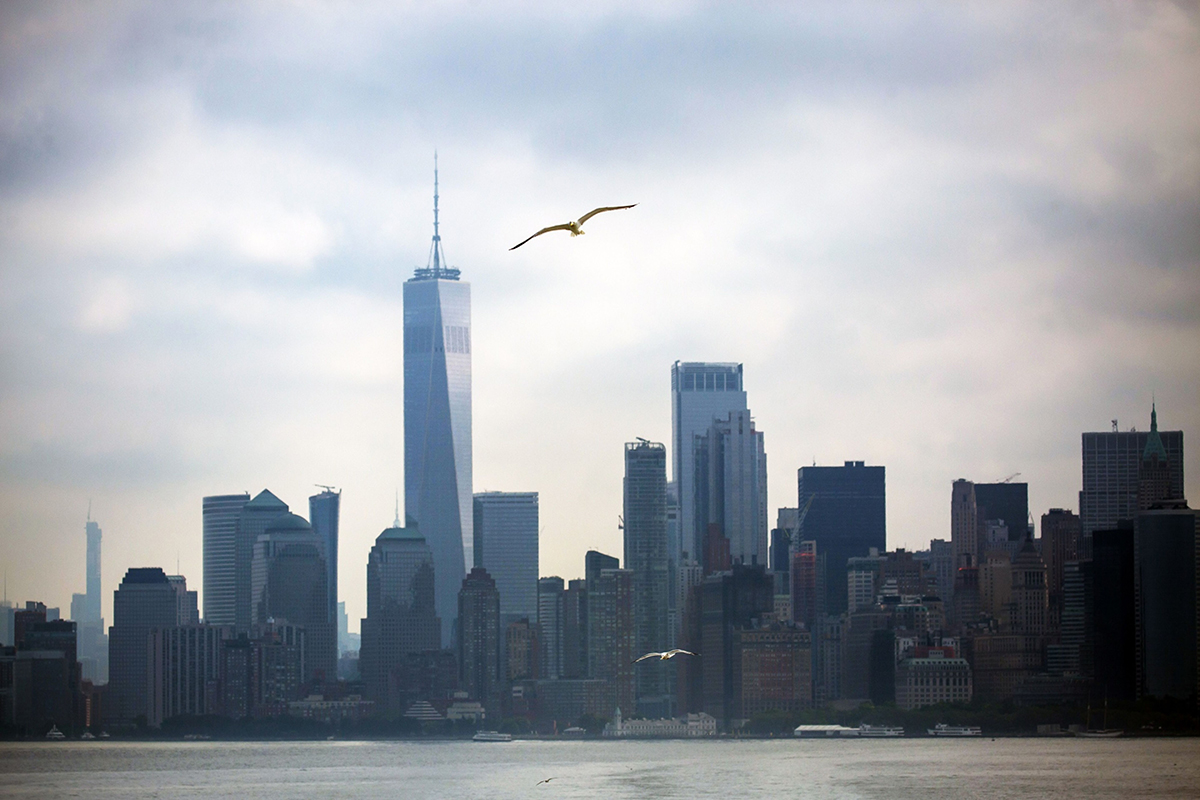 Photo: A bird flies over the Lower Manhattan skyline on July 5, 2019. Photographer: Michael Nagle/Bloomberg